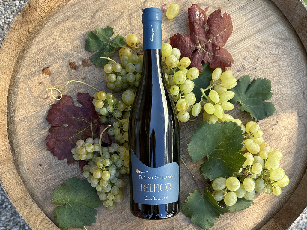 White Wines
